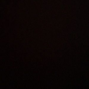 Meet your Posher, Angelo